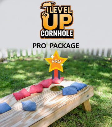 Pro Plan – $100/month